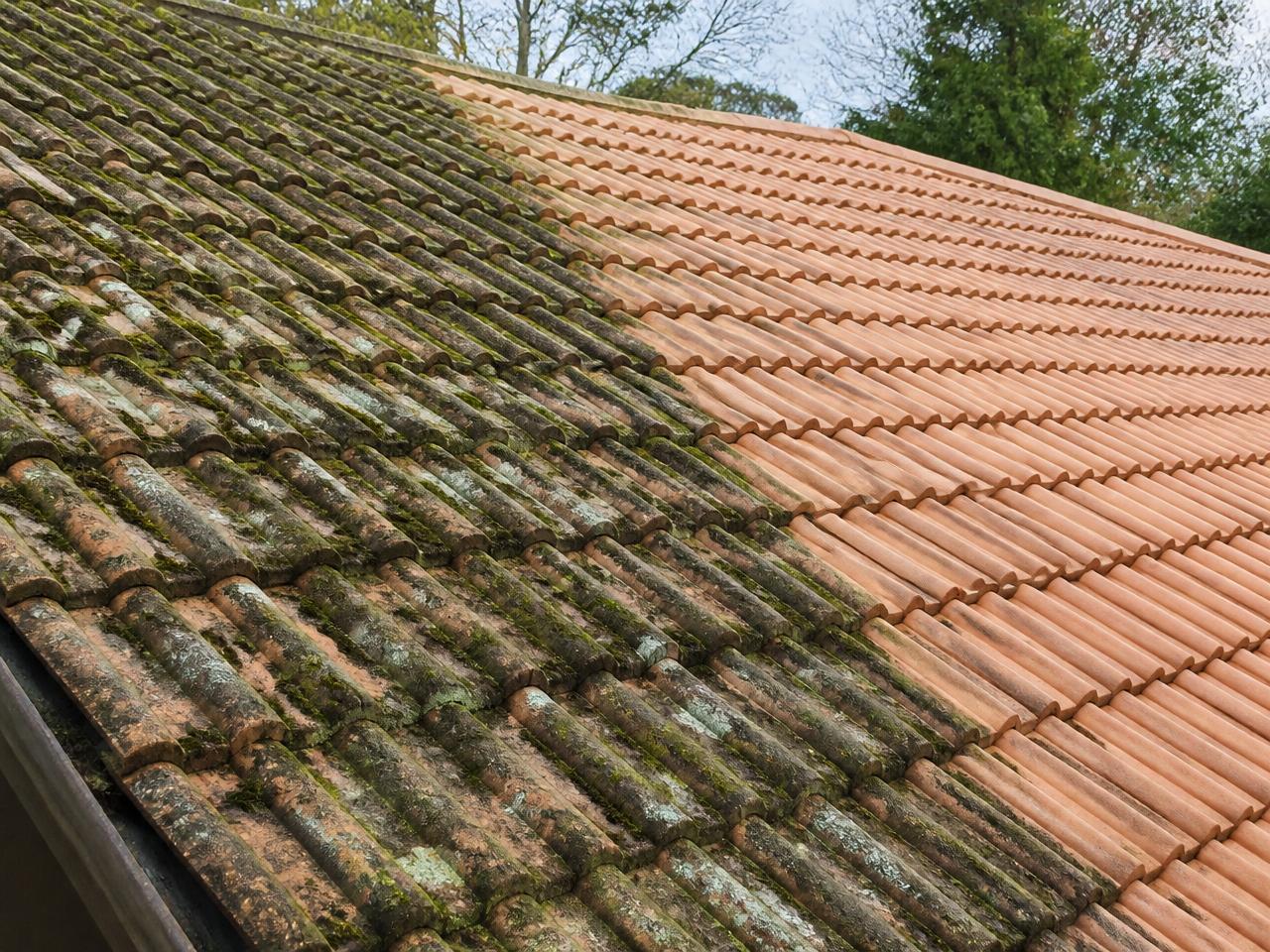 A tiled roof half covered in moss and half freshly cleaned, showing the contrast